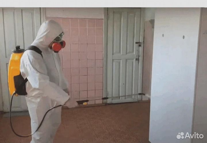 Уничтожение клопов тараканов клещей