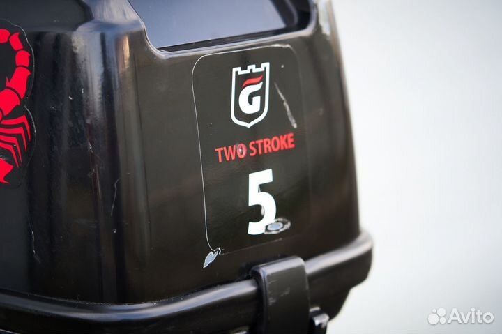 Лодочный мотор golfstream T 5 BMS витринный