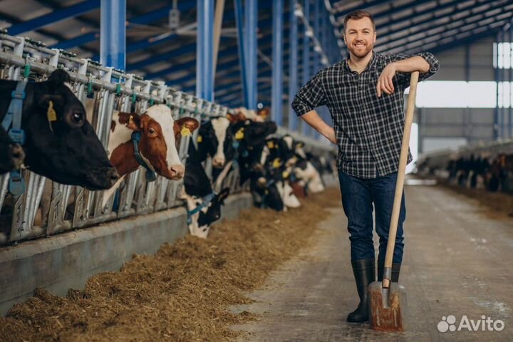 Вахта Разнорабочий на агрофирму