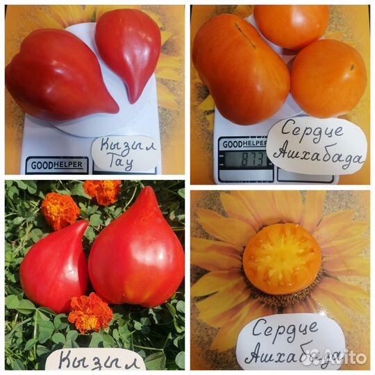 Семена серцевидных сортовых томатов