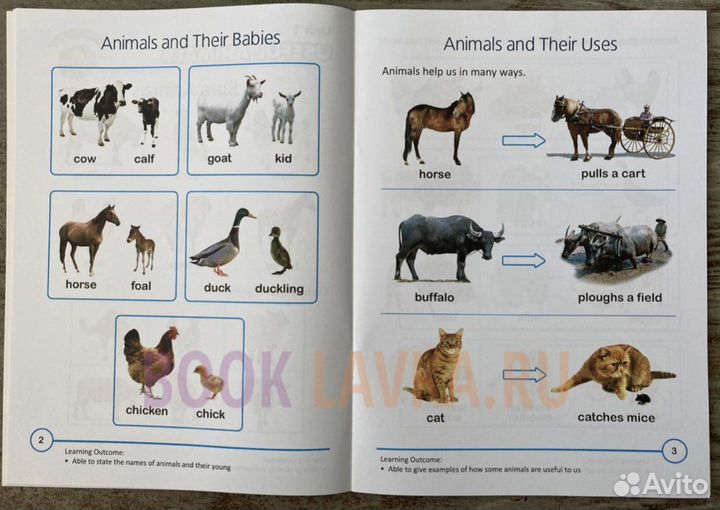 Книги на английском языке Rainbow science