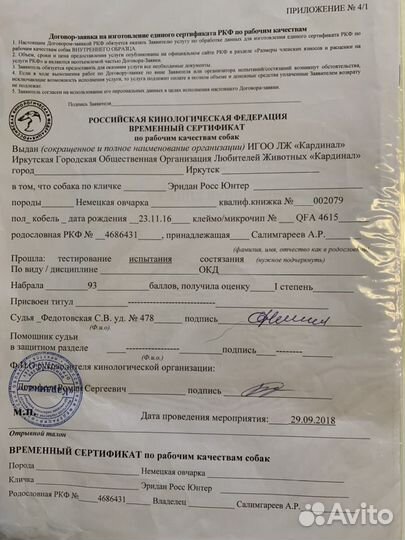 Щенки немецкой овчарки