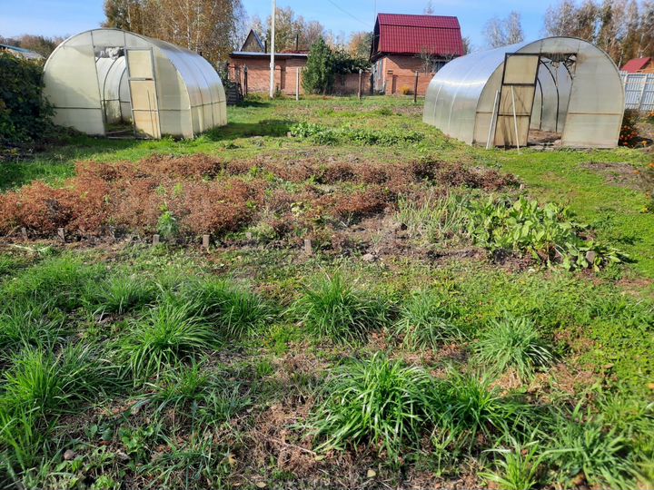 Участок 6 сот. (СНТ, ДНП)