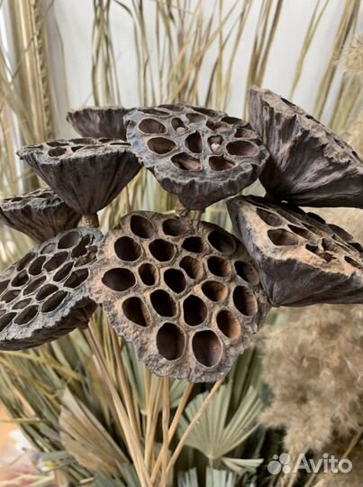 Лотос натуральный на ножке