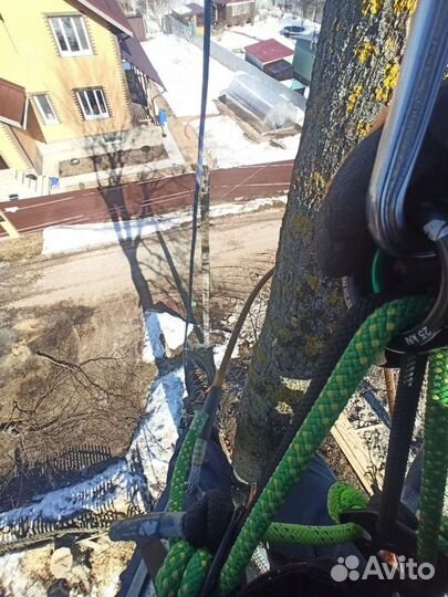 Спил деревьев г. Сергиев Посад