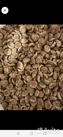 Сухой корм для собак