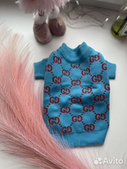 Gucci одежда для собак
