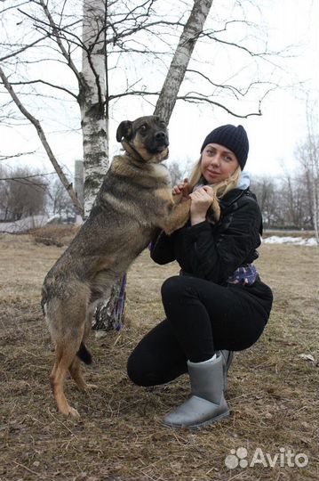 Добби в клетке - нужен новый дом