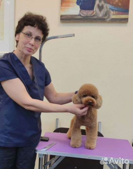 Грумер. Бережно стрижка, тримминг, вычесывание