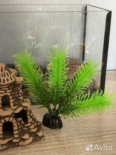 Аквариум 3л + подарок корм для Петушков