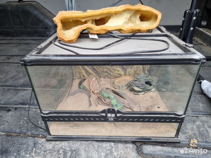 Террариум для рептилий