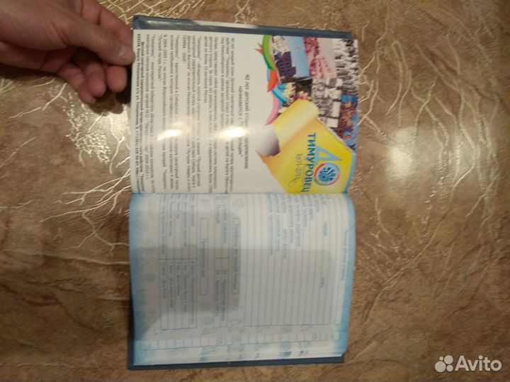 Дневник школьника