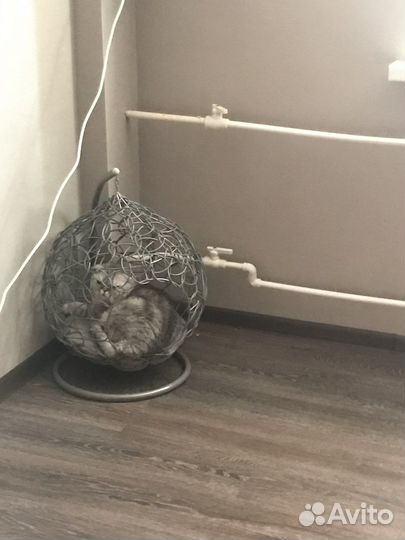 Лежанка для кошек и собак