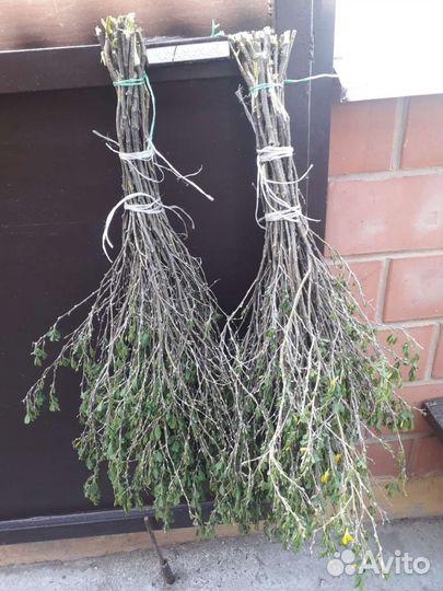 Веники чилиговые