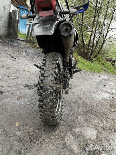 Рейсер пантера 300