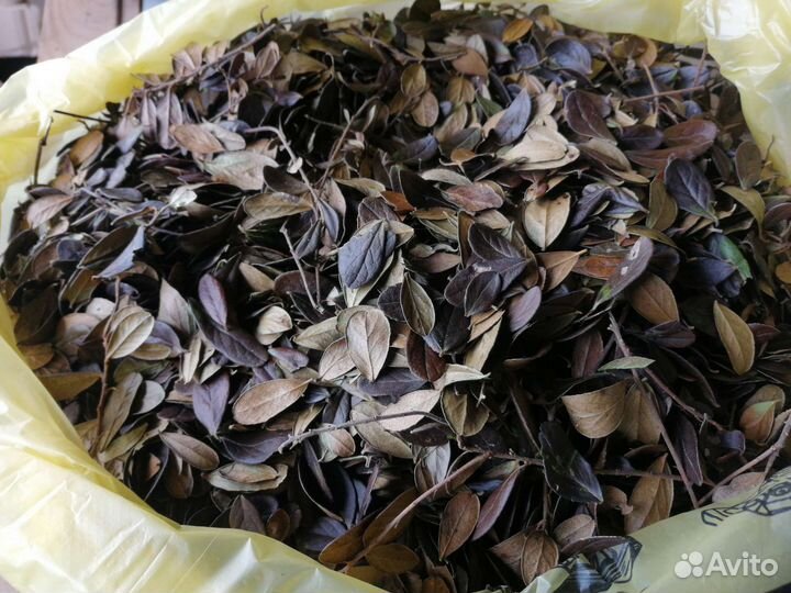 Брусничный лист сушеный 50г