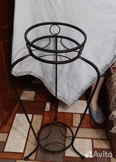 Замиакулькас, долларовое дерево