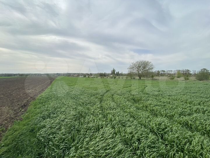 Участок 2,24 га (СНТ, ДНП)