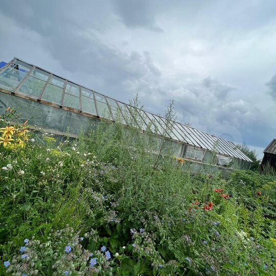 Дача 50 м² на участке 5 сот.