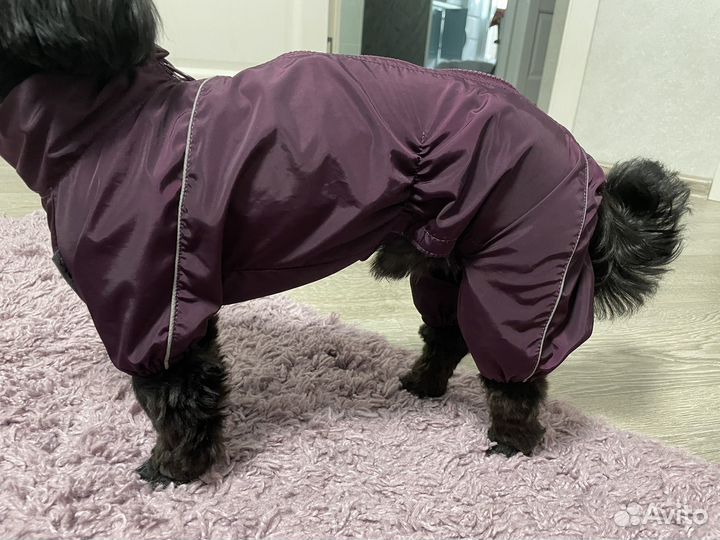 Дождевик для собак