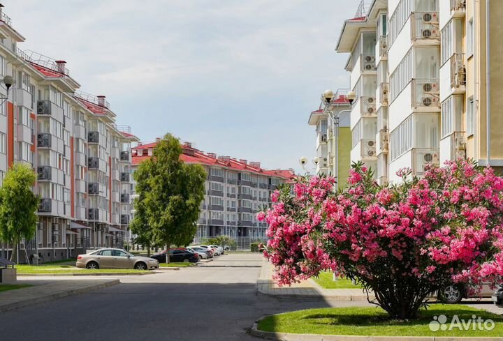 Тур путевка Сочи 6 ночей Имеритинск. низменность