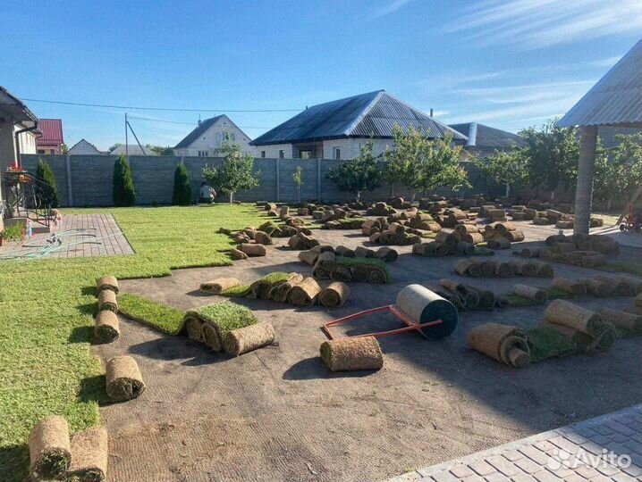 Рулонный газон