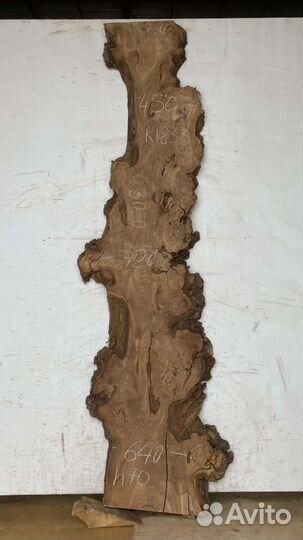 Слэб дерева