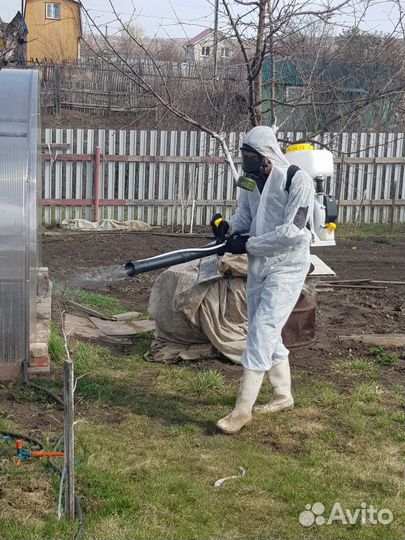 Средство для Уничтожения клопов Дезинсекции тараканов