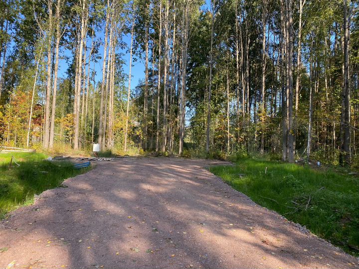 Участок 12,9 сот. (СНТ, ДНП)