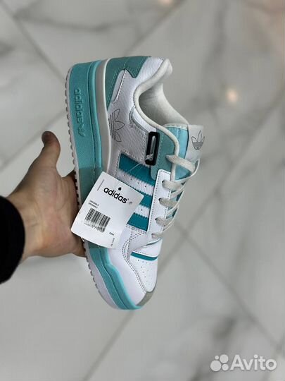 Adidas Form демисезон оптом (44)