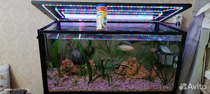 Аквариум