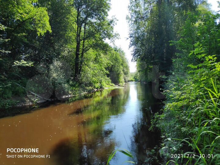 Участок 80 сот. (СНТ, ДНП)