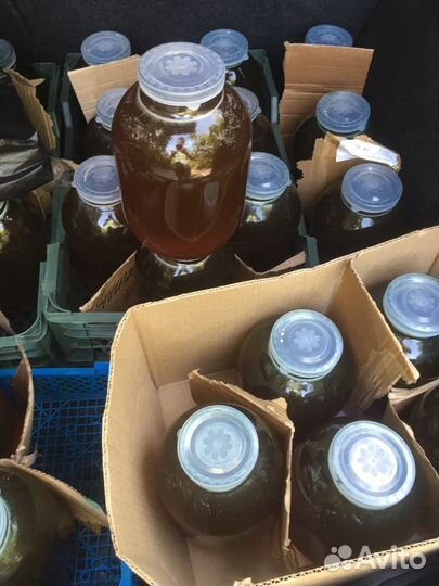 Мед с собственной пасеки 2023