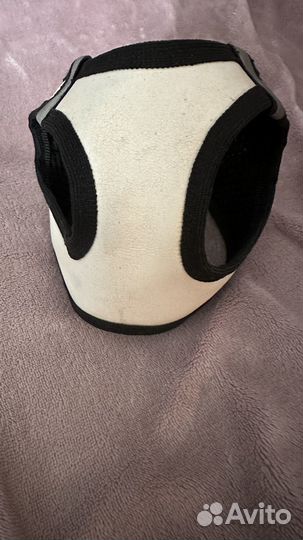 Шлейка для маленькой собаки