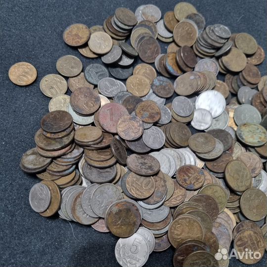 Копанина с пляжа современная мелочь