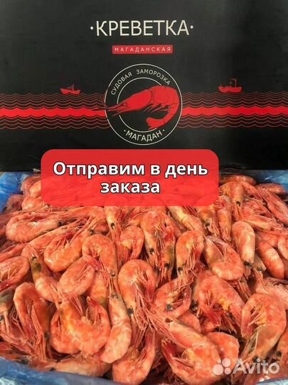 Креветка Северная опт