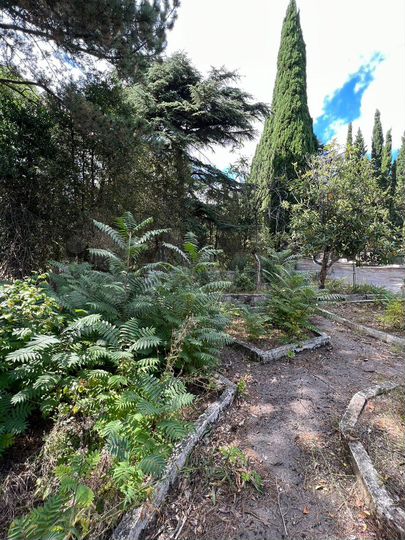 Участок 5 га (ИЖС)