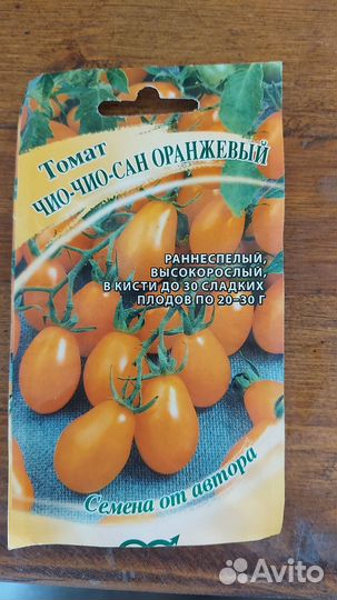 Рассада помидор