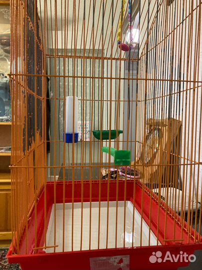 Клетка для волнистого попугая