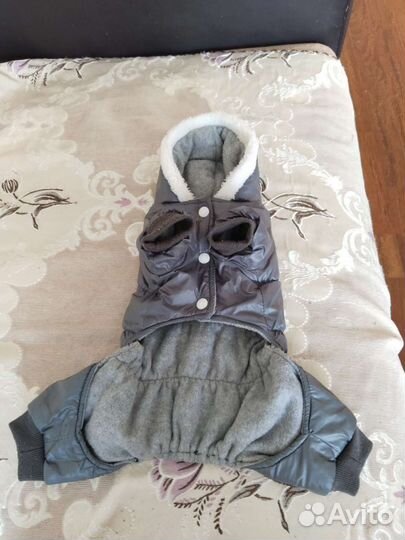 Одежда для собак