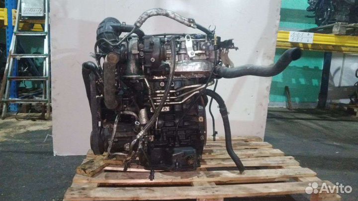 Двигатель Chevy Captiva Opel Antara 2.2 Z22D1