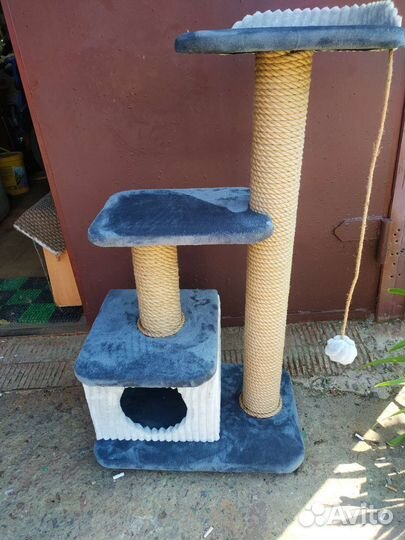 Когтеточки,комплексы