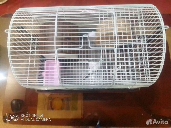 Клетка для хомяка