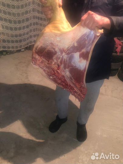 Мясо свинины,домашнее