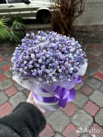 Букет из гипсофилы