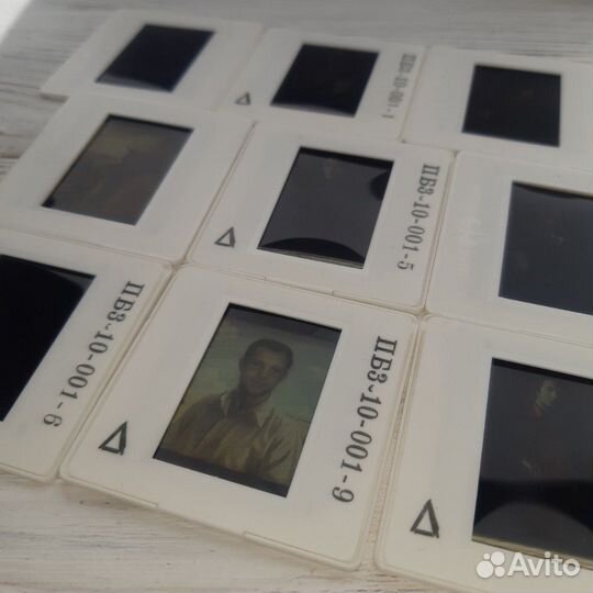 10 диапозитивов, картины Шилова