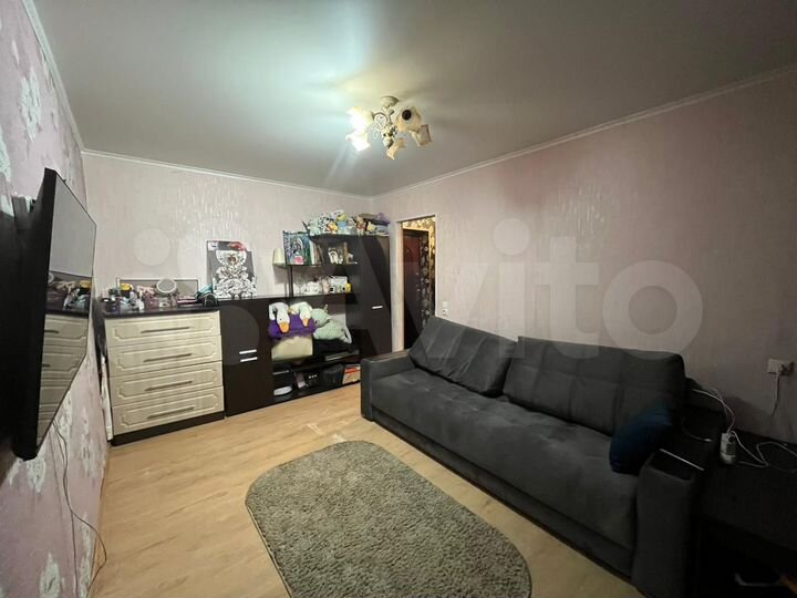 1-к. квартира, 24,8 м², 5/5 эт.