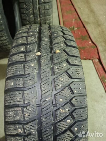 Cordiant Polar 2 205/55 R16 91