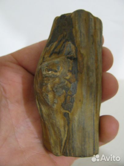 Окаменелое дерево (в коллекцию)