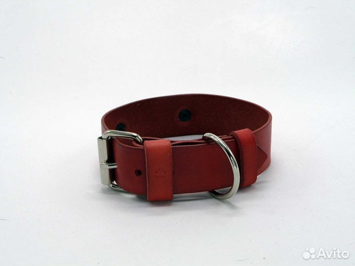 Ошейник для небольших собак с адресником